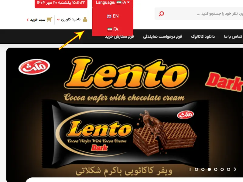 مزایای طراحی سایت چند زبانه برای کسب و کارها